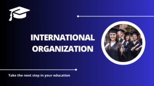 √International Organization