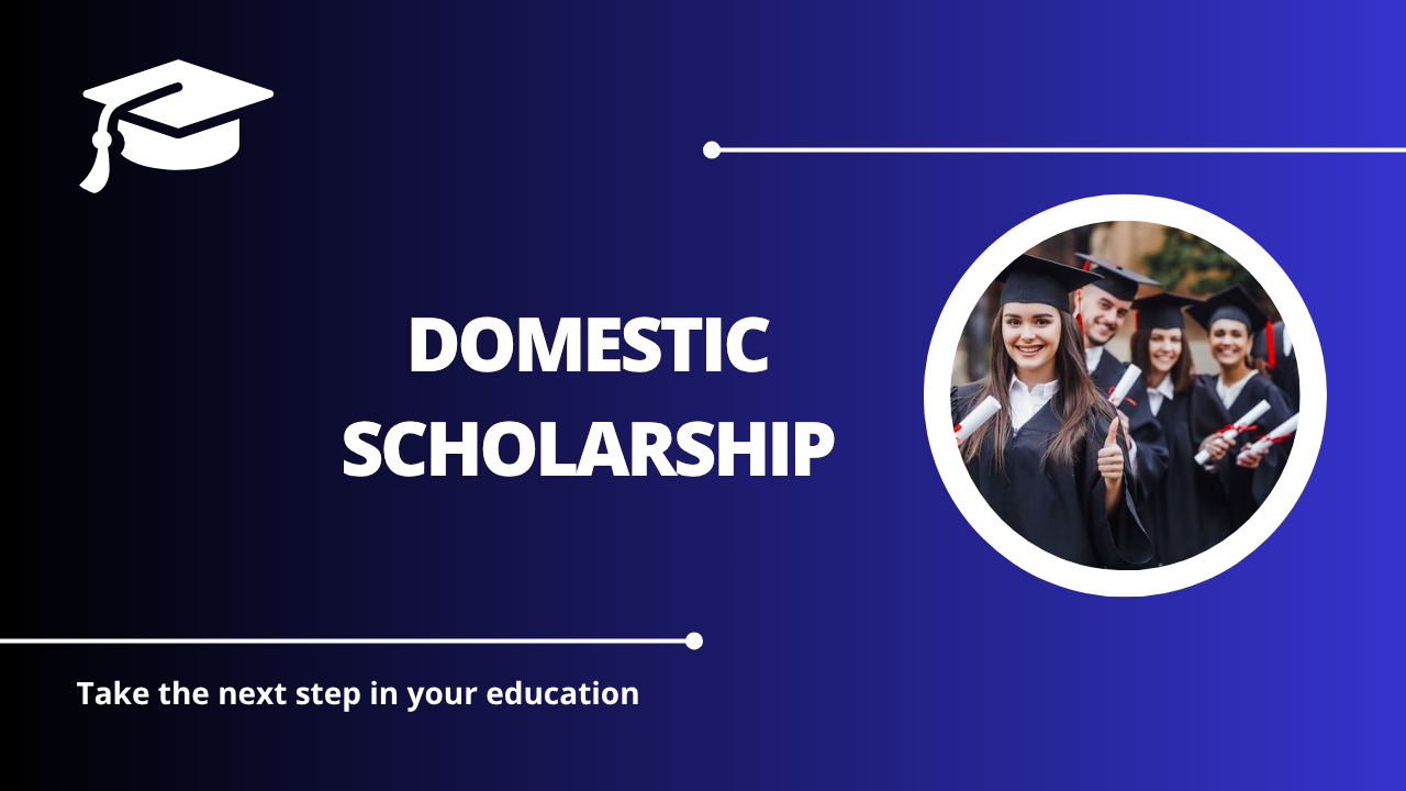 √Domestic Scholarship
